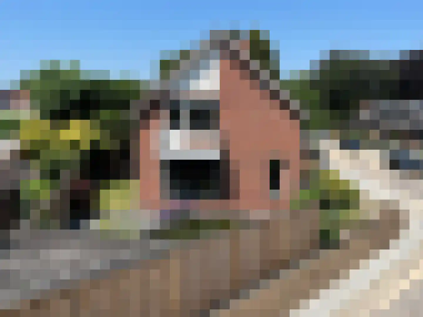 Pastoor Goossensstraat 29 Grashoek thumbnail 28