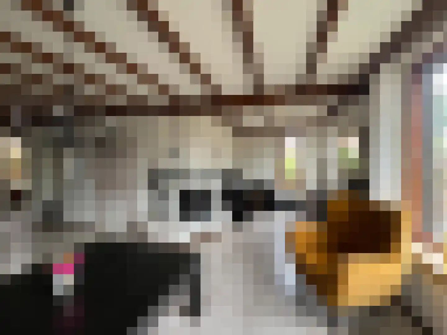 Pastoor Goossensstraat 29 Grashoek thumbnail 6