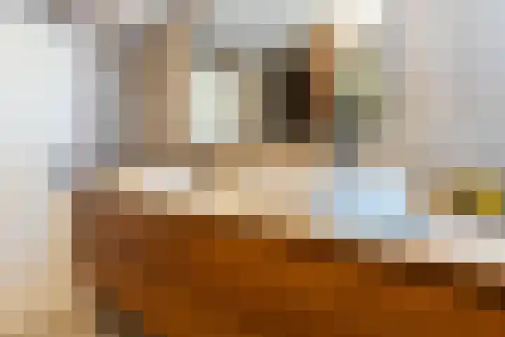 Pastoor Görtzstraat 9 Oud Ade thumbnail 31