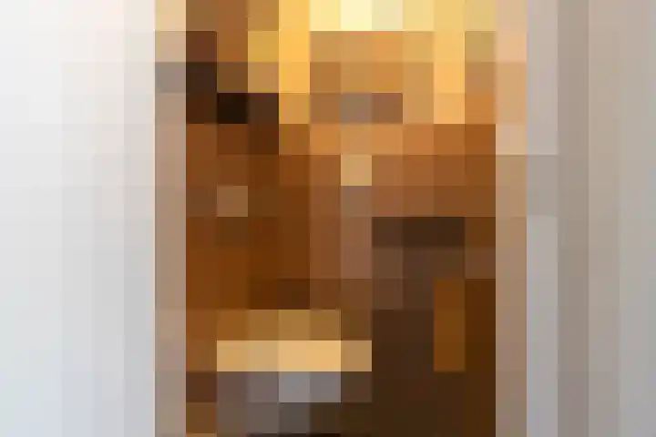 Pastoor Görtzstraat 9 Oud Ade thumbnail 8