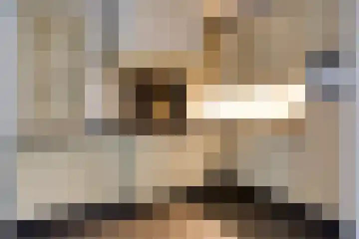 Pastoor Gowthorpestraat 22 Barneveld thumbnail 11