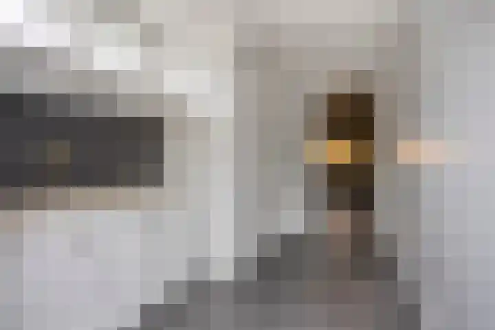 Pastoor Gowthorpestraat 22 Barneveld thumbnail 14