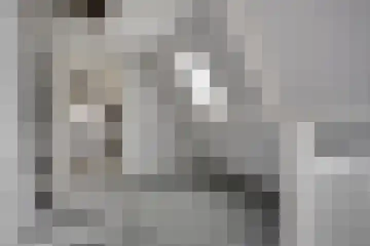 Pastoor Gowthorpestraat 22 Barneveld thumbnail 25