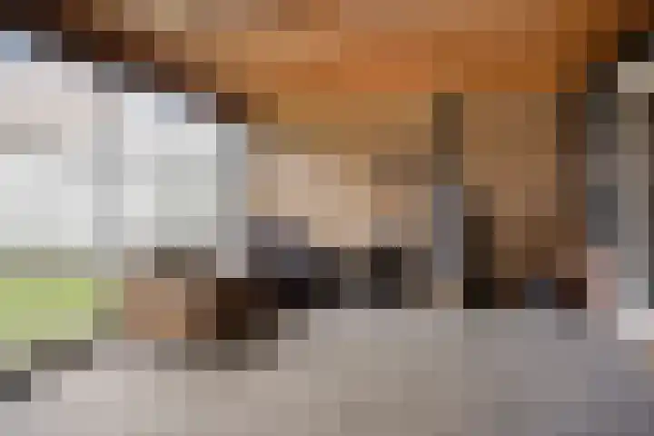 Pastoor Gowthorpestraat 22 Barneveld thumbnail 31