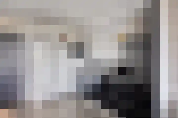 Pastoor Gowthorpestraat 55 Barneveld thumbnail 14