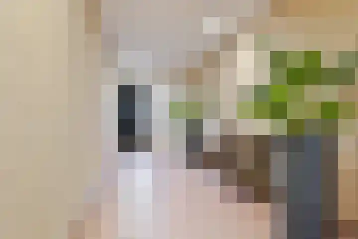 Pastoor Gowthorpestraat 55 Barneveld thumbnail 4