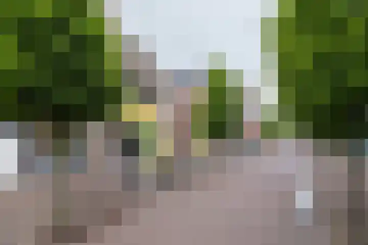Pastoor Gowthorpestraat 63 Barneveld thumbnail 34