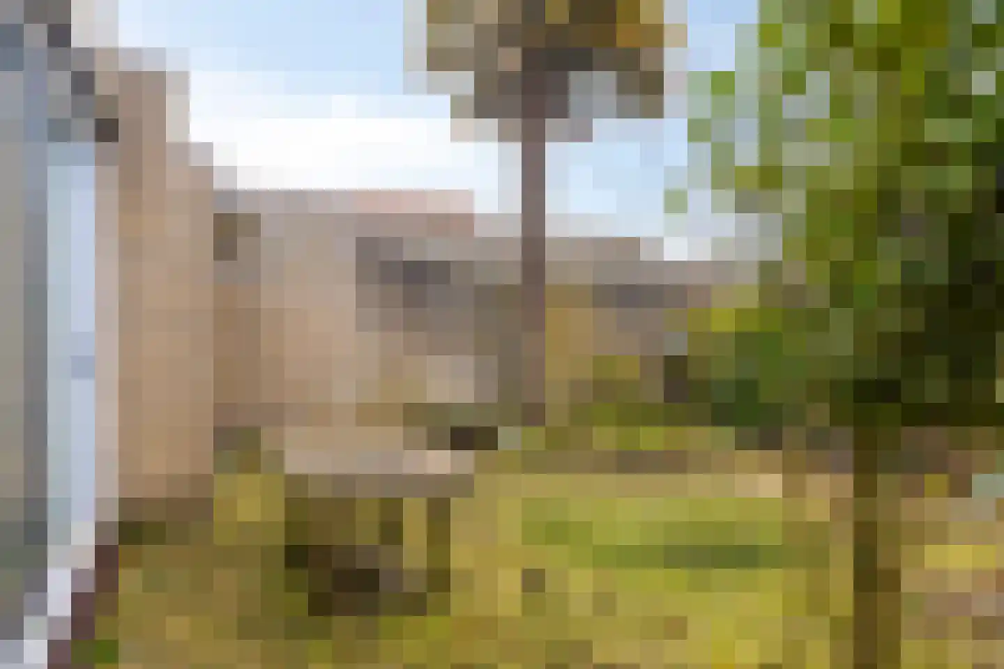 Pastoor Graatweg 39 Millingen aan de Rijn thumbnail 33