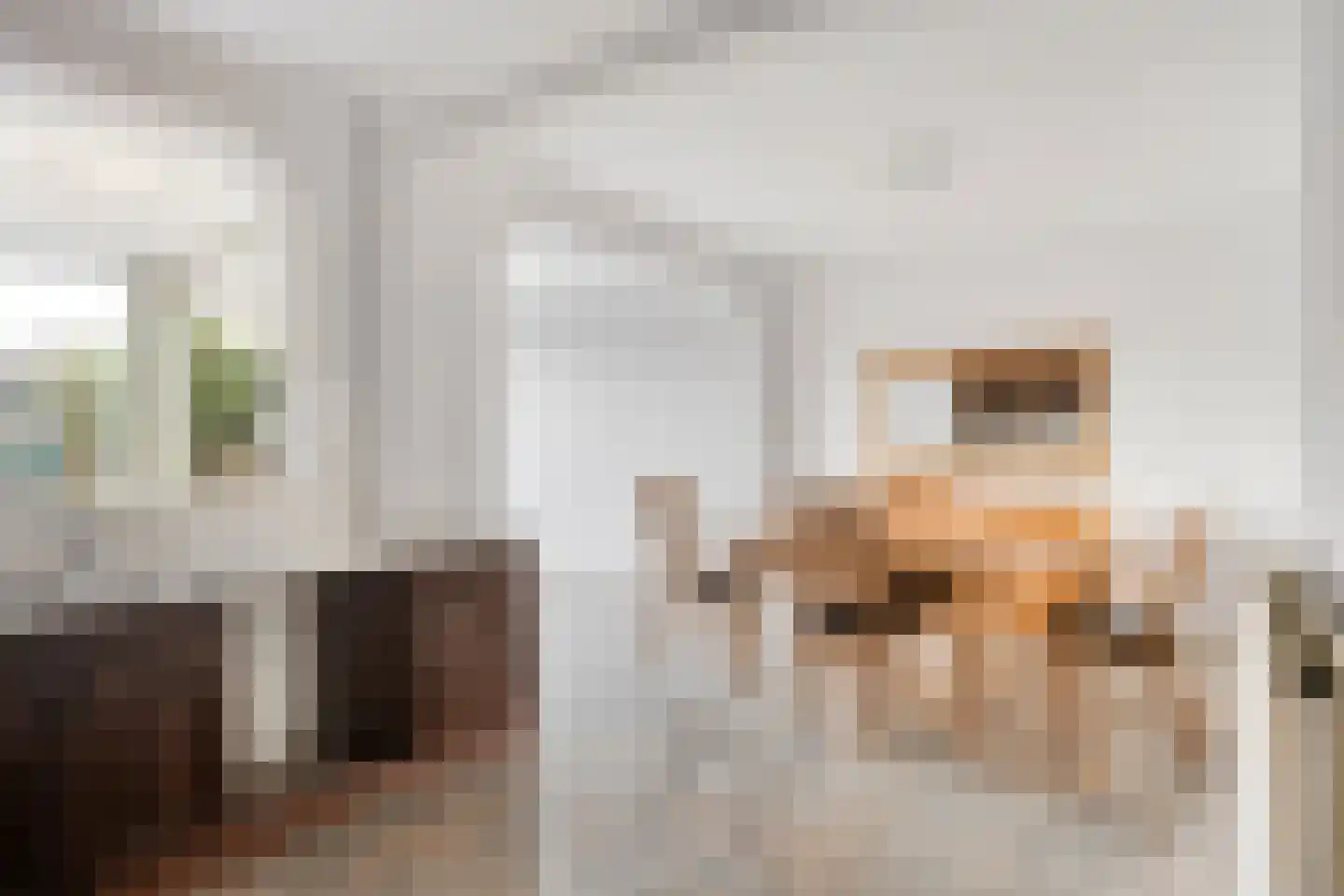 Pastoor Graatweg 39 Millingen aan de Rijn thumbnail 4