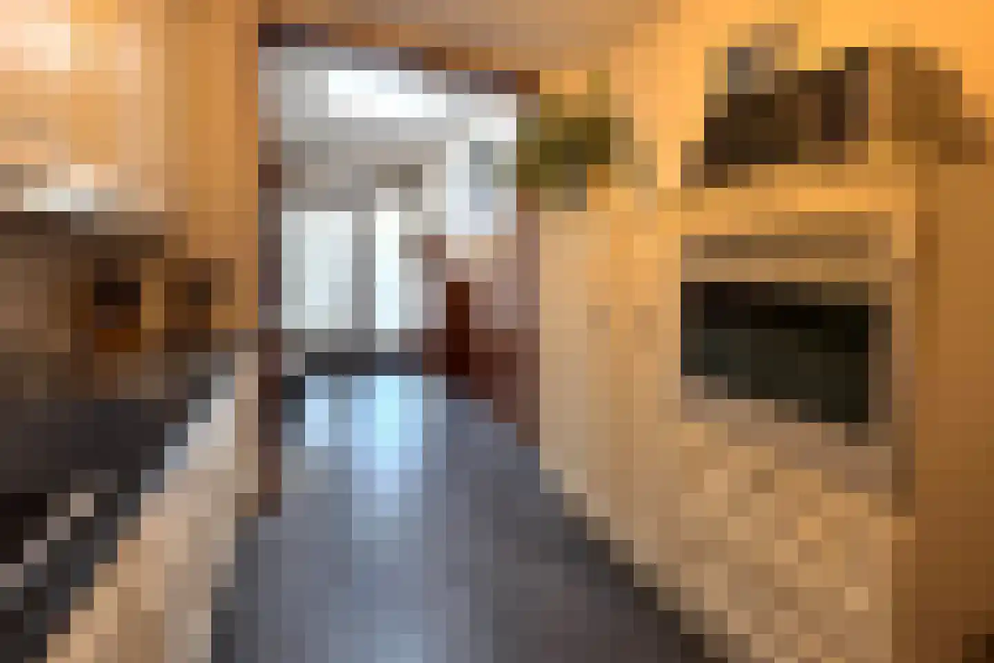 Pastoor Greijmansstraat 27 Schinveld thumbnail 15