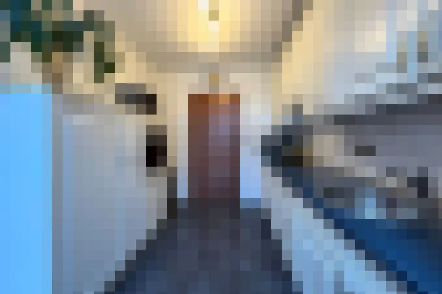 Pastoor Greijmansstraat 27 Schinveld thumbnail 16