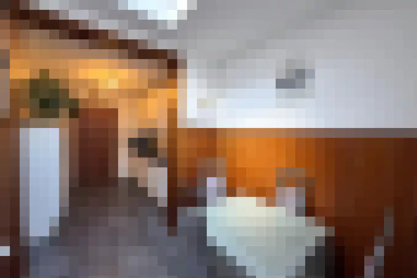 Pastoor Greijmansstraat 27 Schinveld thumbnail 17