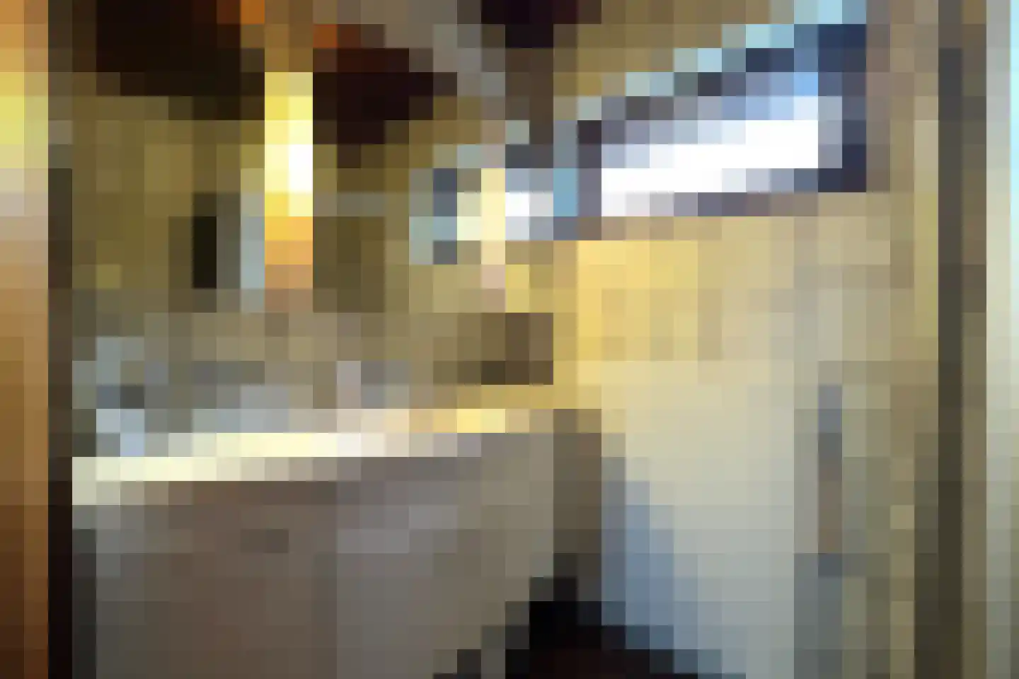 Pastoor Greijmansstraat 27 Schinveld thumbnail 30