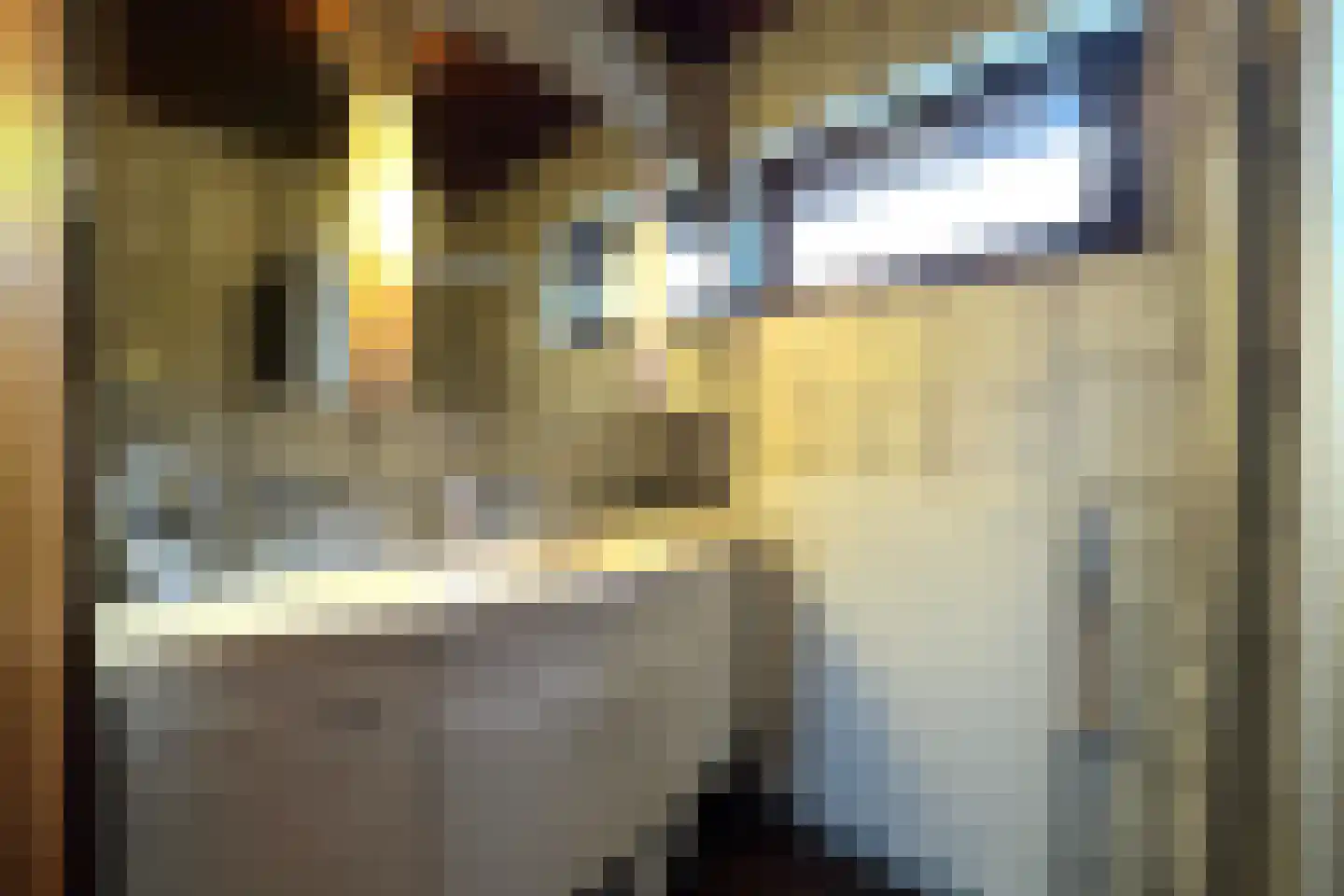 Pastoor Greijmansstraat 27 Schinveld thumbnail 30
