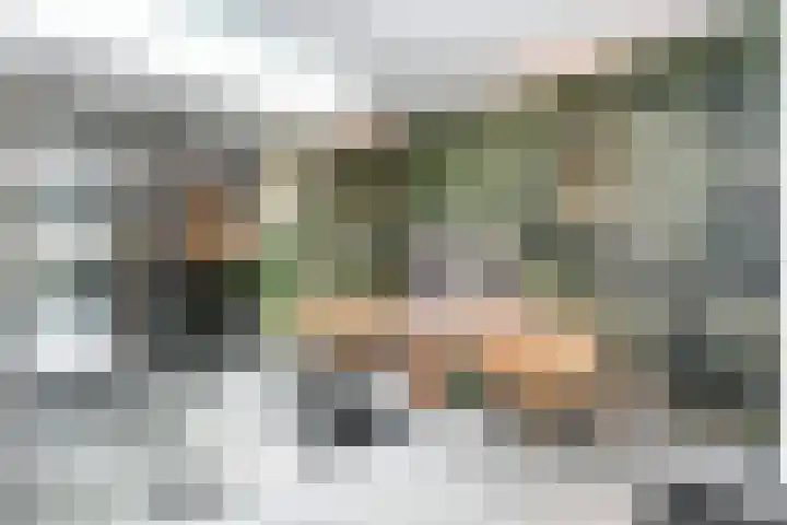 Pastoor Greijmansstraat 41 Schinveld thumbnail 4