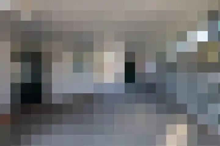 Pastoor Gribnaustraat 2 Giesbeek thumbnail 8
