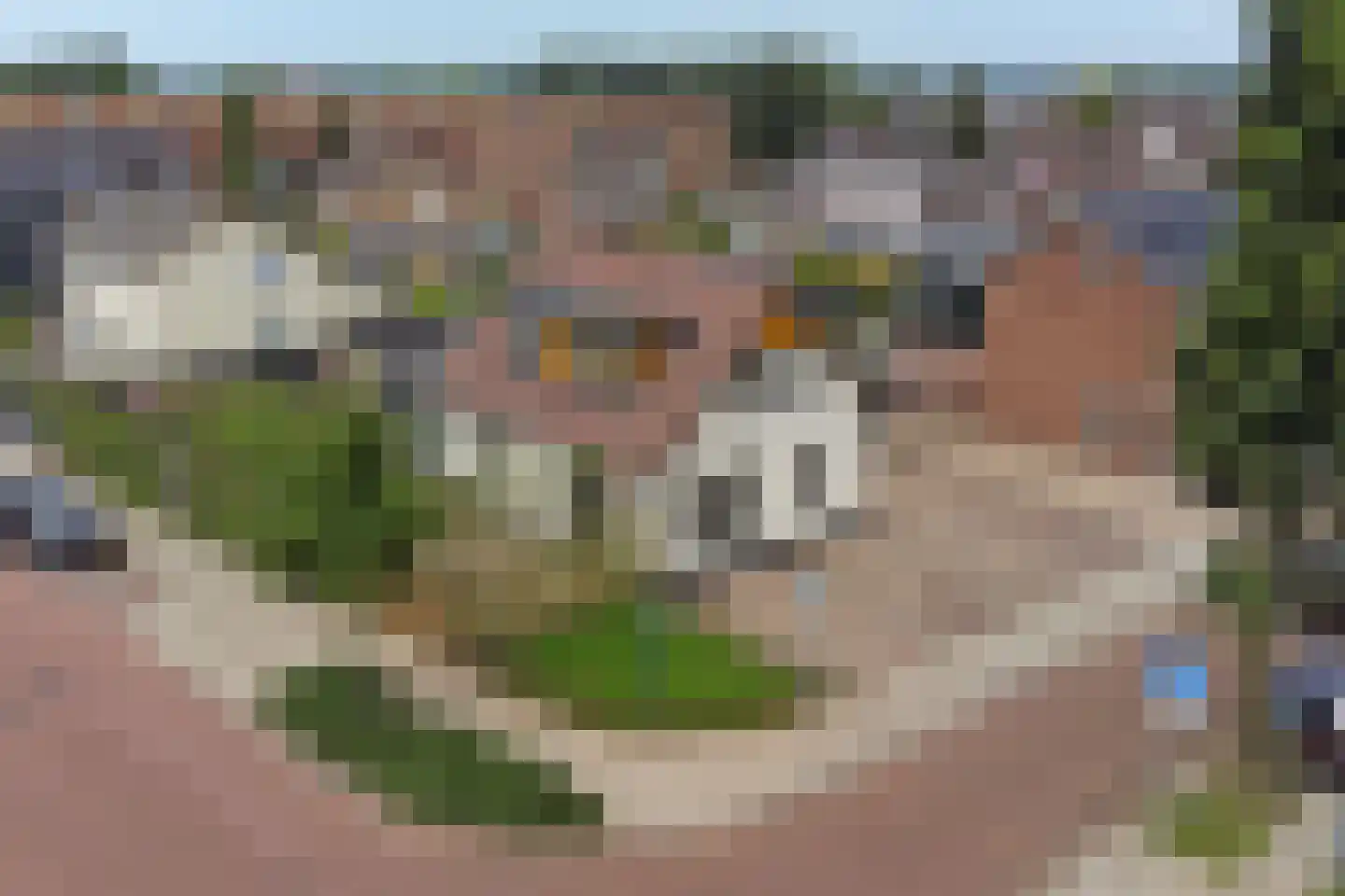 Pastoor Gribnaustraat 6 Giesbeek thumbnail 38