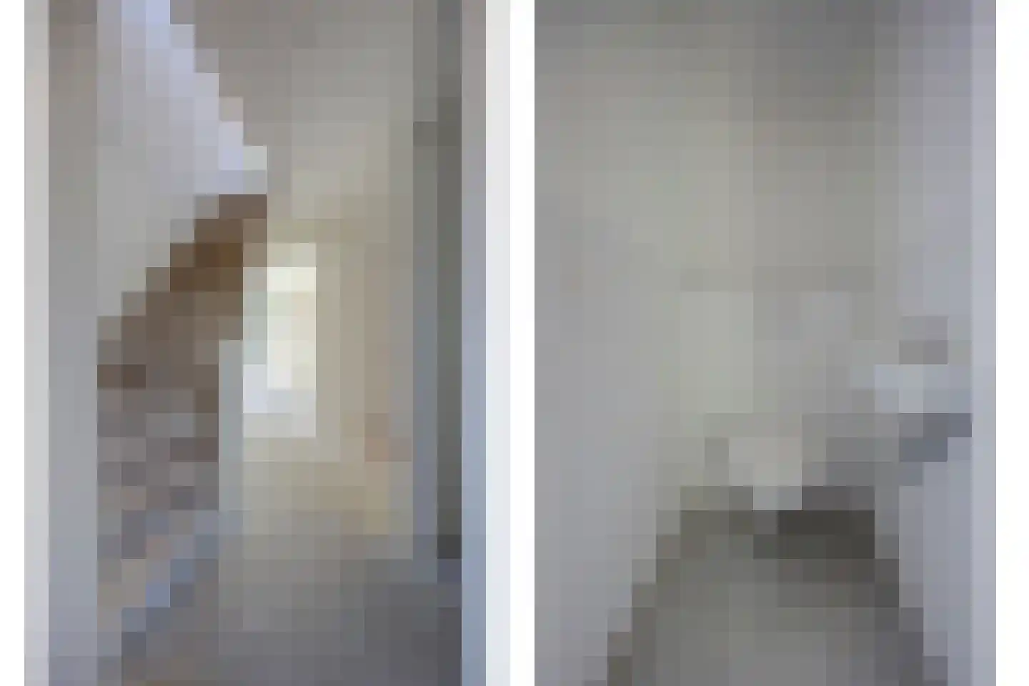Pastoor Gribnaustraat 6 Giesbeek thumbnail 8