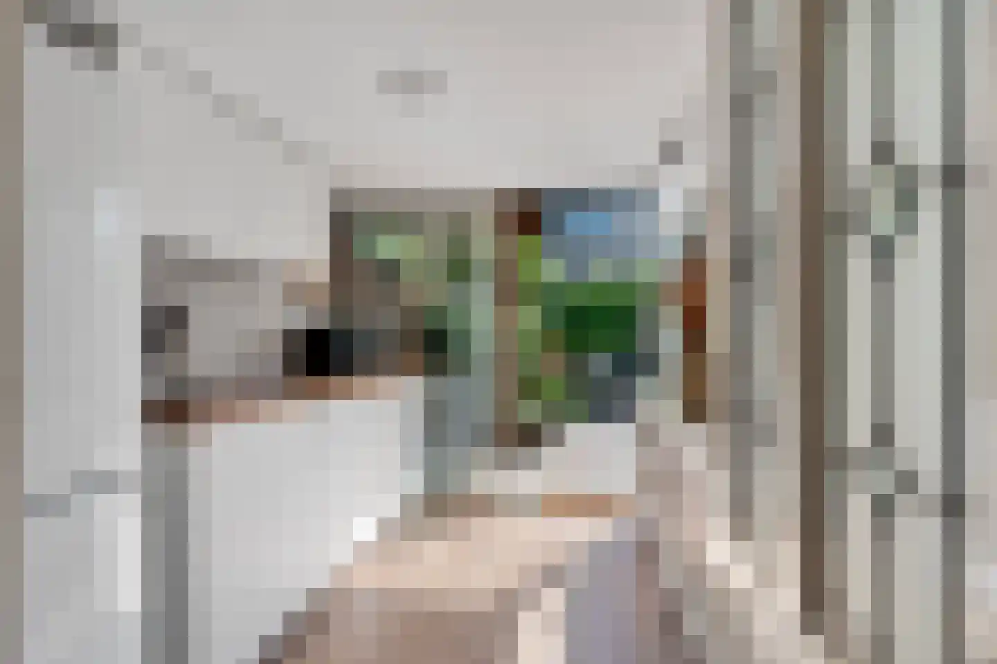 Pastoor Grimmeltstraat 18 Bemmel thumbnail 12