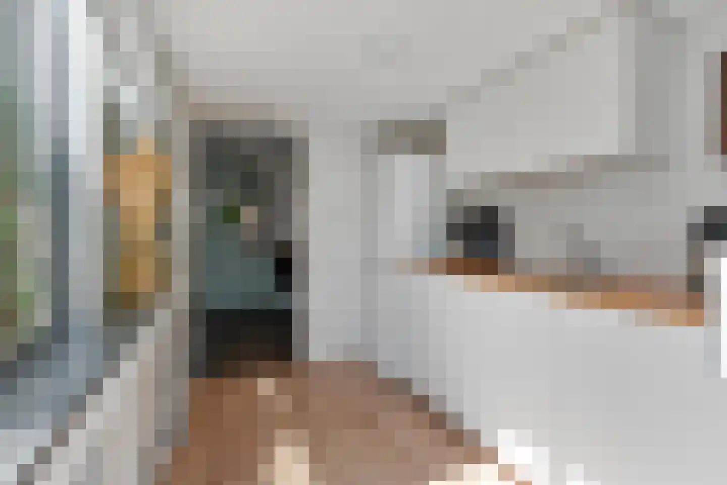 Pastoor Grimmeltstraat 18 Bemmel thumbnail 13