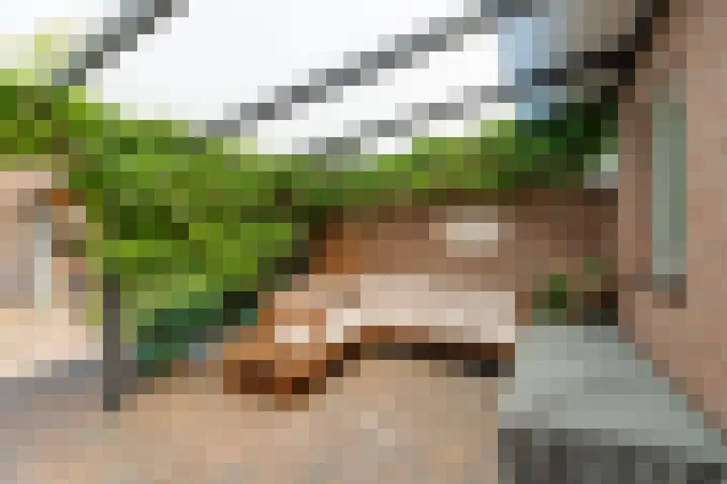 Pastoor Grimmeltstraat 18 Bemmel thumbnail 36