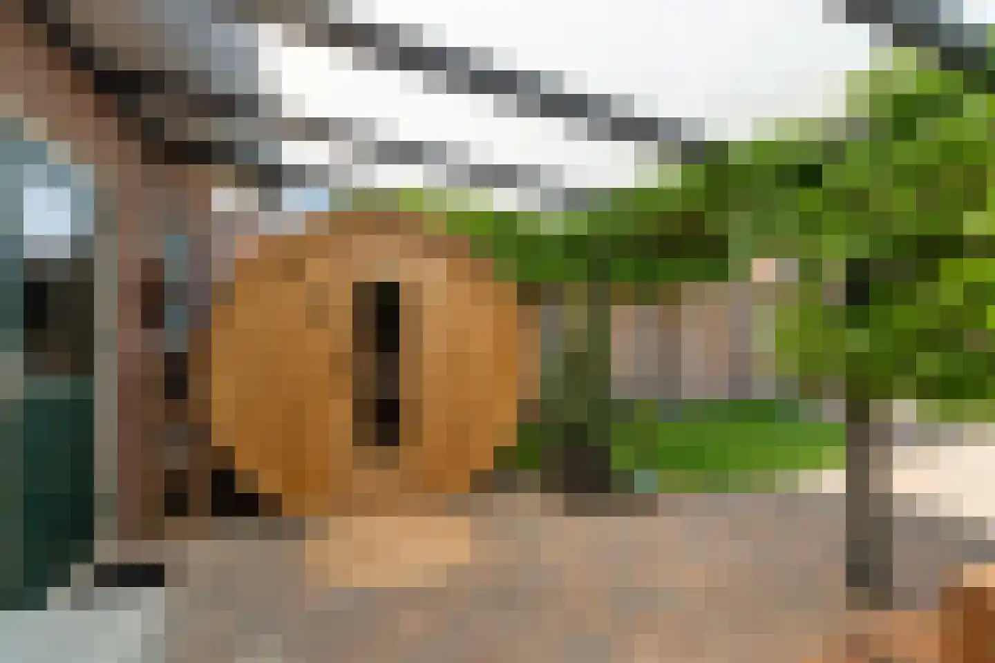 Pastoor Grimmeltstraat 18 Bemmel thumbnail 37