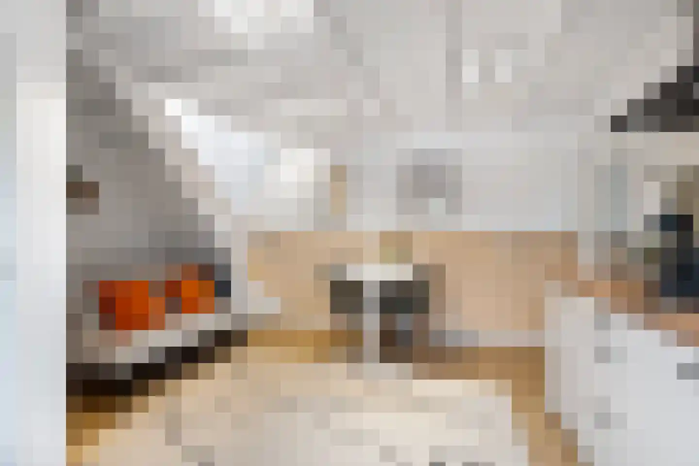Pastoor Grimmeltstraat 18 Bemmel thumbnail 41