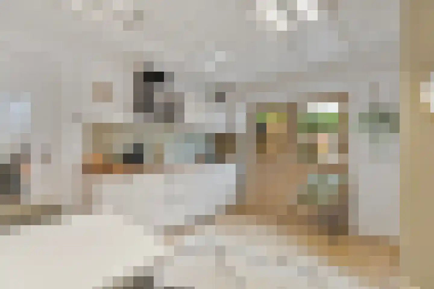 Pastoor Grimmeltstraat 18 Bemmel thumbnail 43