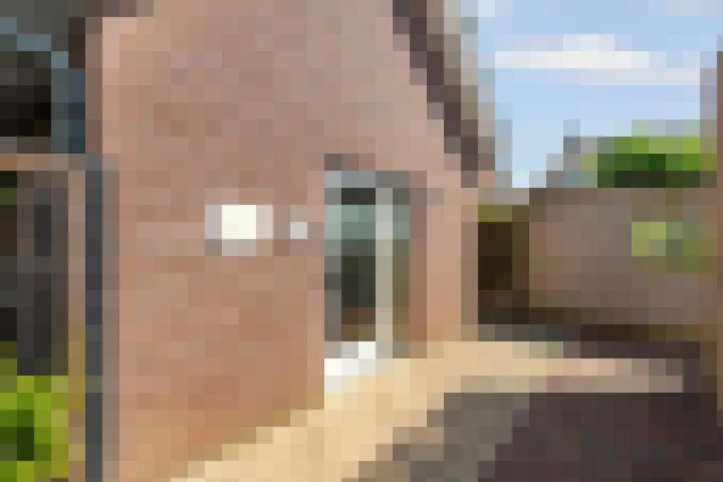 Pastoor Grimmeltstraat 18 Bemmel thumbnail 49