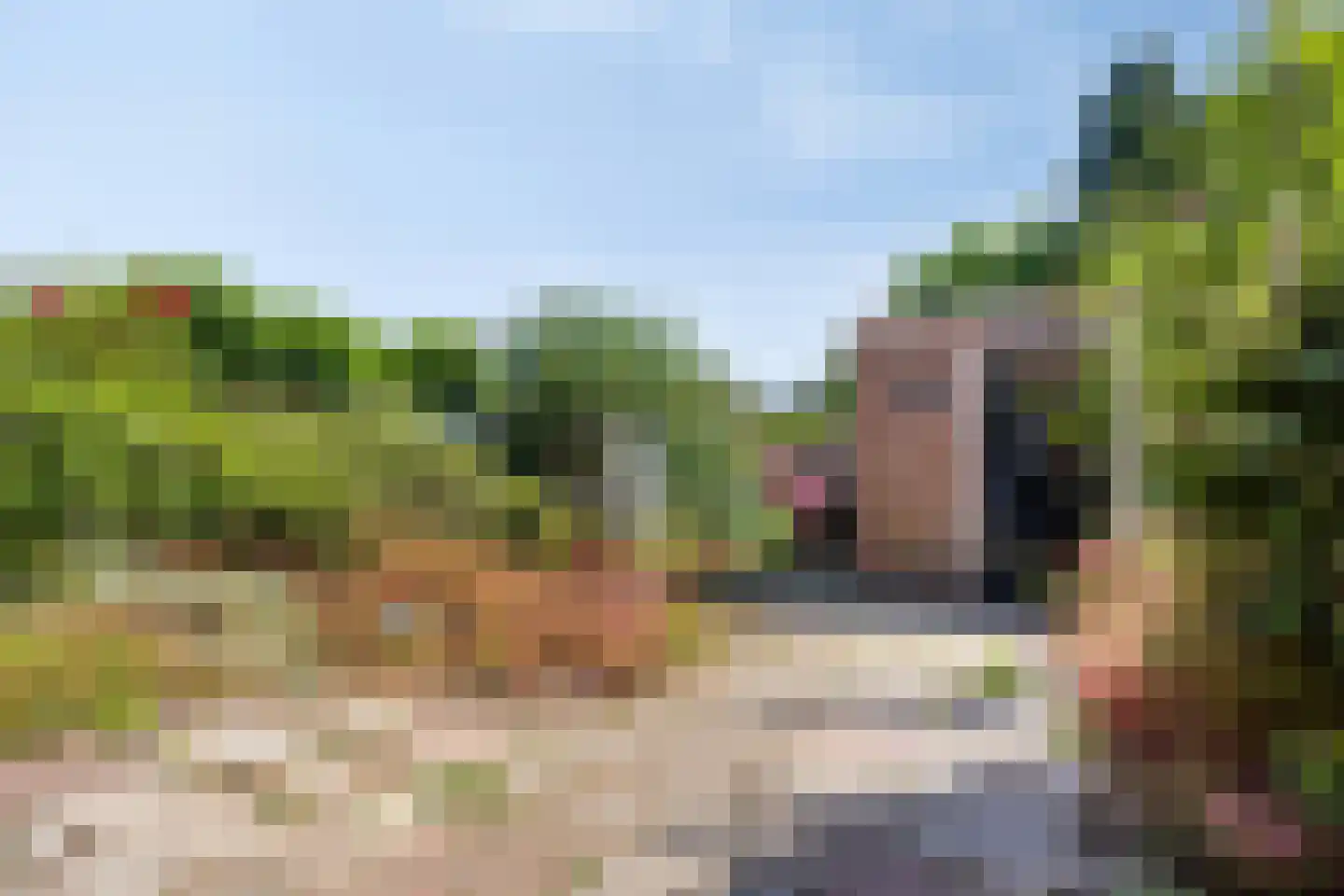 Pastoor Grimmeltstraat 24 Bemmel thumbnail 25