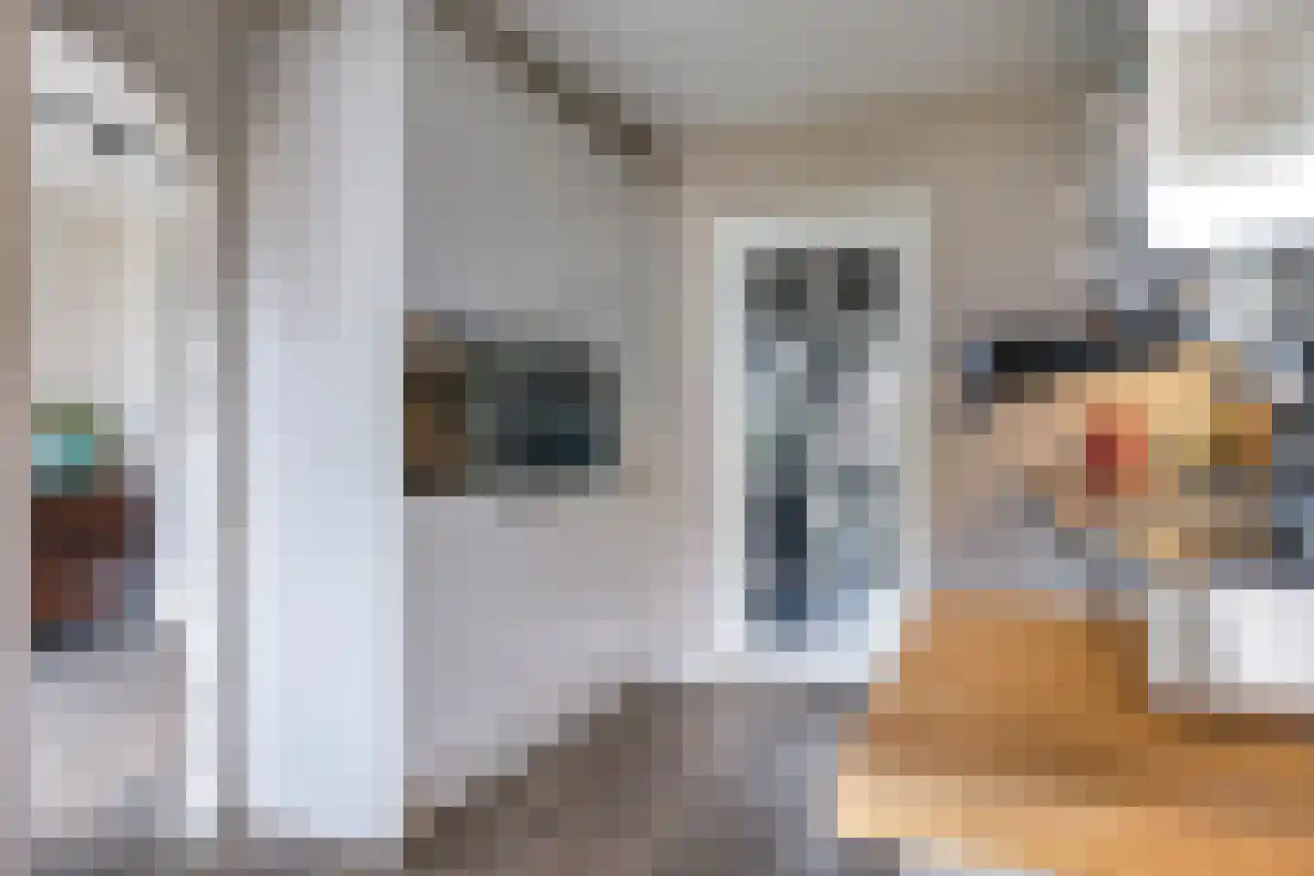 Pastoor Grimmeltstraat 25 Bemmel thumbnail 18