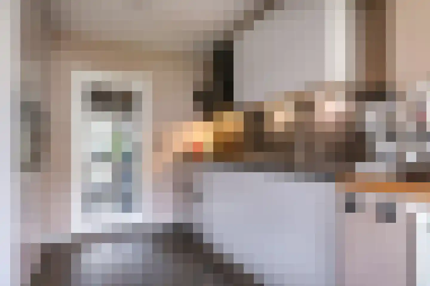 Pastoor Grimmeltstraat 25 Bemmel thumbnail 19