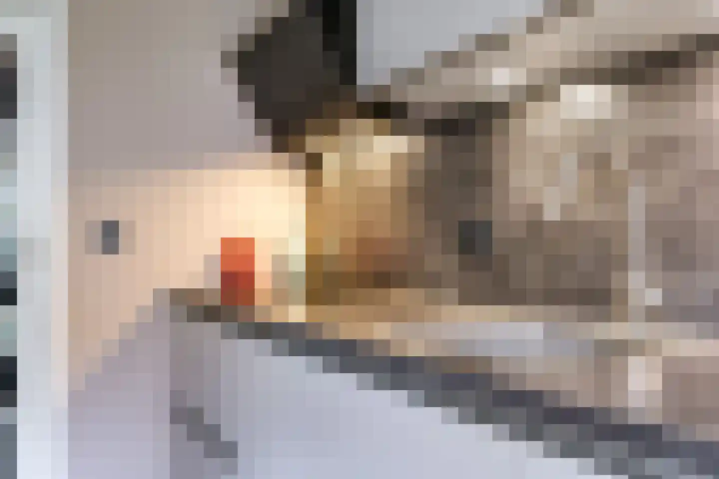 Pastoor Grimmeltstraat 25 Bemmel thumbnail 20
