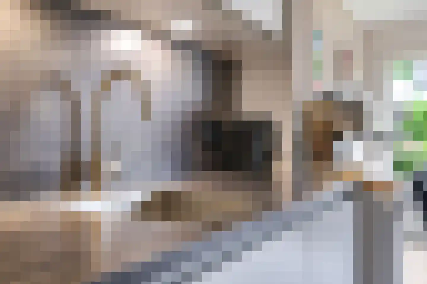 Pastoor Grimmeltstraat 25 Bemmel thumbnail 22