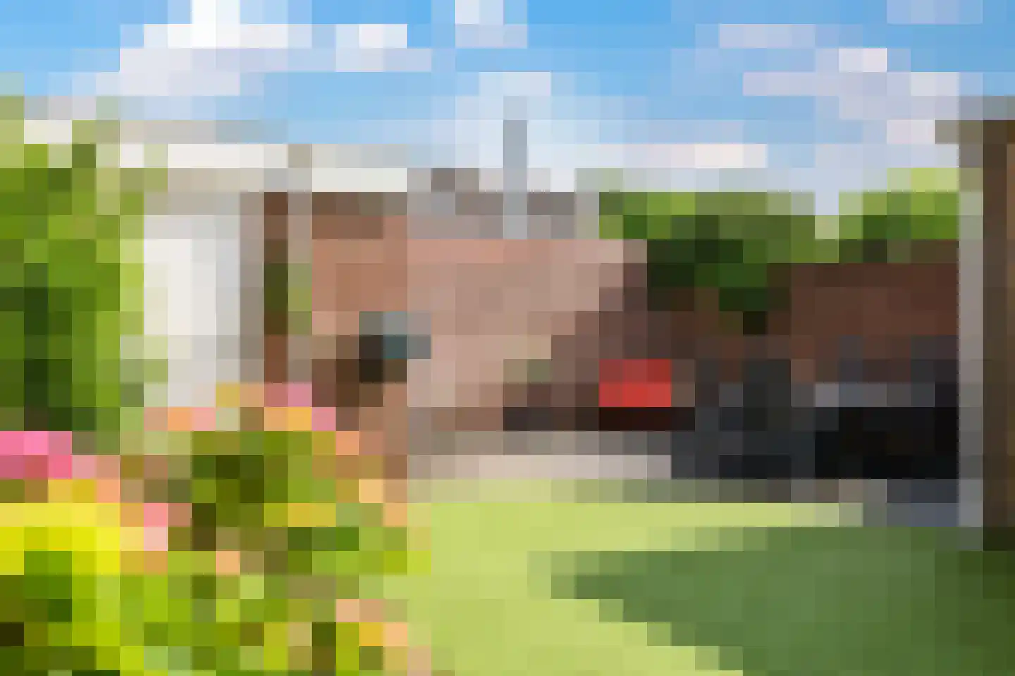 Pastoor Grimmeltstraat 25 Bemmel thumbnail 37