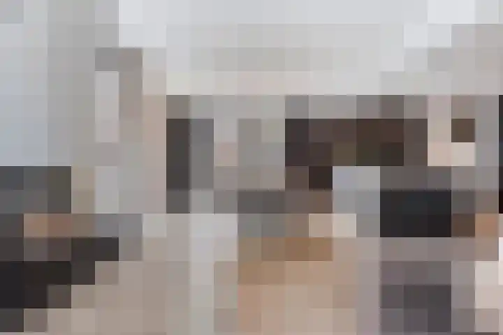 Pastoor Grimmeltstraat 37 Bemmel thumbnail 10