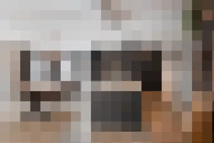 Pastoor Grimmeltstraat 37 Bemmel thumbnail 17