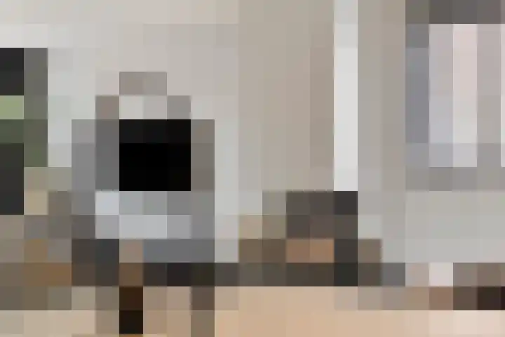 Pastoor Grimmeltstraat 37 Bemmel thumbnail 20