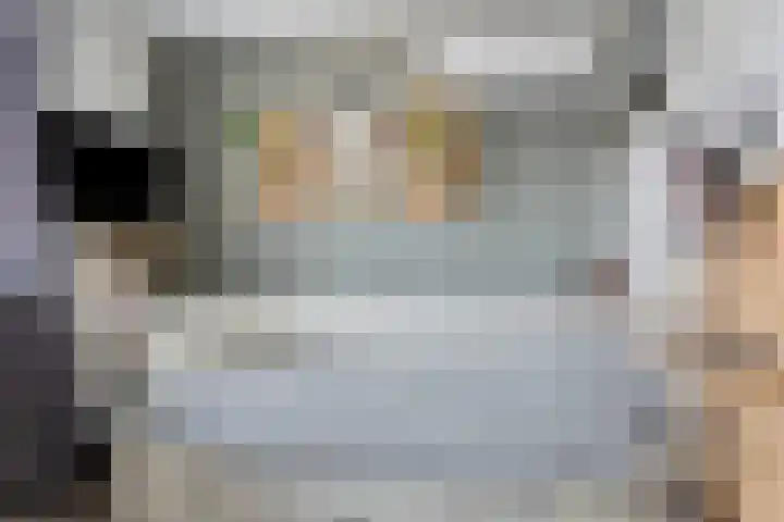 Pastoor Grimmeltstraat 37 Bemmel thumbnail 34