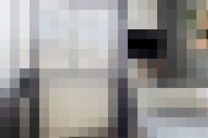Pastoor Grimmeltstraat 37 Bemmel thumbnail 35