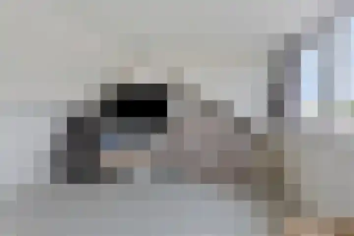 Pastoor Grimmeltstraat 37 Bemmel thumbnail 42