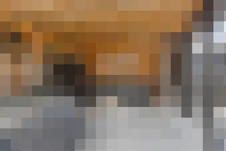 Pastoor Grimmeltstraat 37 Bemmel thumbnail 49