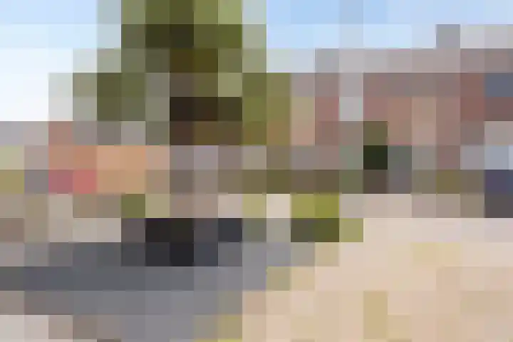 Pastoor Grimmeltstraat 37 Bemmel thumbnail 5