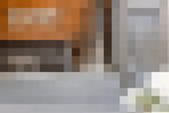Pastoor Grimmeltstraat 37 Bemmel thumbnail 50