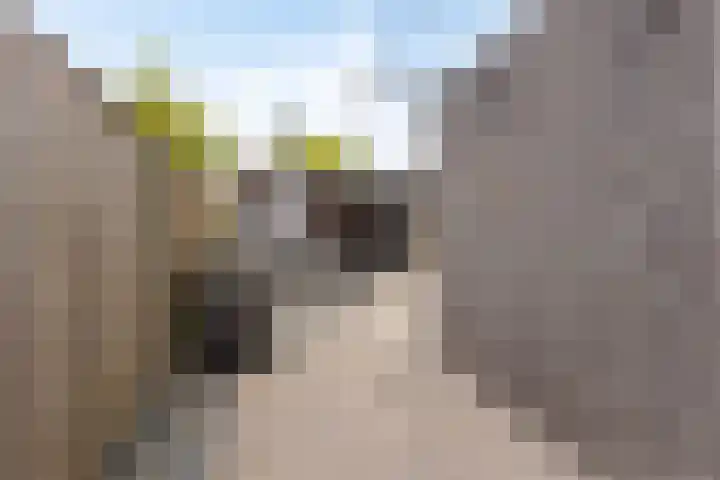 Pastoor Grimmeltstraat 37 Bemmel thumbnail 53