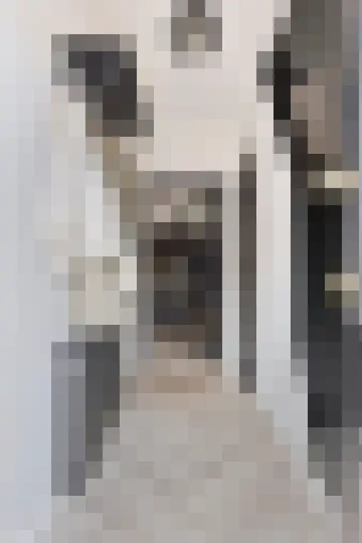 Pastoor Grimmeltstraat 37 Bemmel thumbnail 6