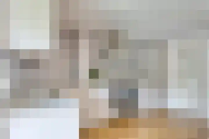 Pastoor Grimmeltstraat 9 Bemmel thumbnail 15