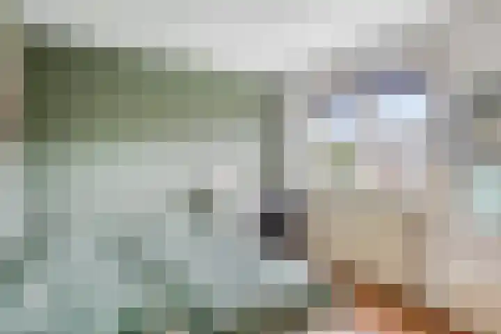 Pastoor Grimmeltstraat 9 Bemmel thumbnail 27