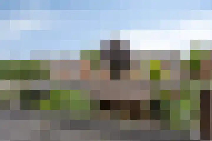 Pastoor Grimmeltstraat 9 Bemmel thumbnail 31