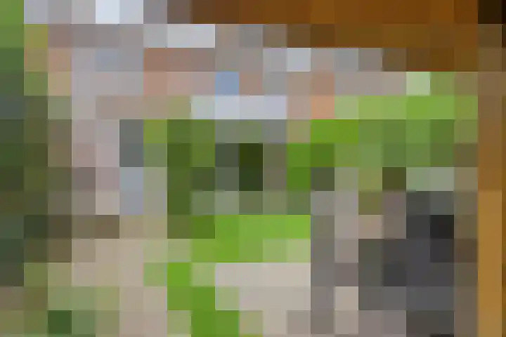 Pastoor Grimmeltstraat 9 Bemmel thumbnail 36